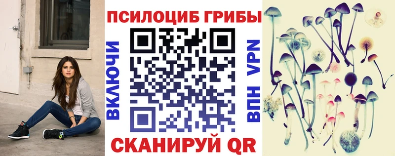 Псилоцибиновые грибы Cubensis  Купить  Галич 